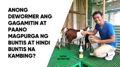gamot sa pagtatae ng kambing|Anong Dewormer ang Gagamitin at Paano Magpurga ng Buntis .